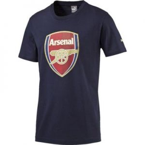 Koszulka Puma Arsenal Football Club Fan Tee Junior 74929702