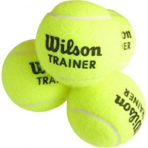 Piłka tenisowa Wilson Team Trainer Ball 1 szt