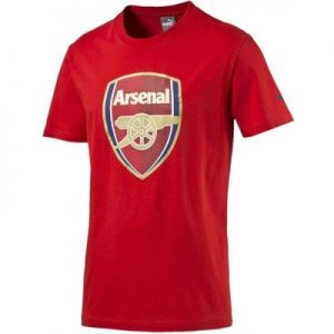 Koszulka Puma Arsenal Football Club Fan Tee Junior 74929701