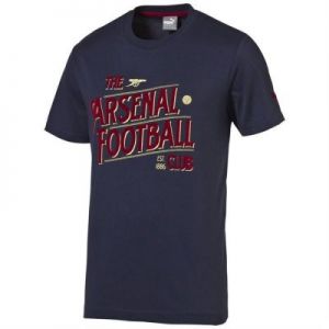Koszulka Puma Arsenal Football Club Graphic Fan Tee Junior 74748802