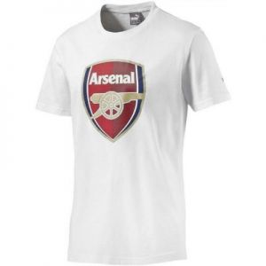 Koszulka Puma Arsenal Football Club Fan Tee M 749297051