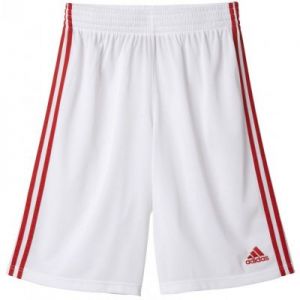 Spodenki koszykarskie adidas Commander Shorts M G91749