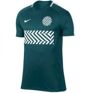 Koszulka piłkarska Nike Dry Academy M 859930-425