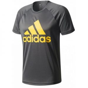 Koszulka treningowa adidas Design To Move Tee Logo M CE0309