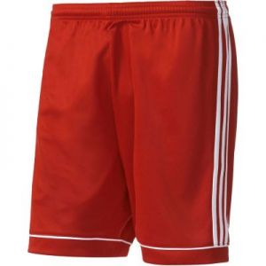 Spodenki piłkarskie adidas Squadra 17 M BJ9226